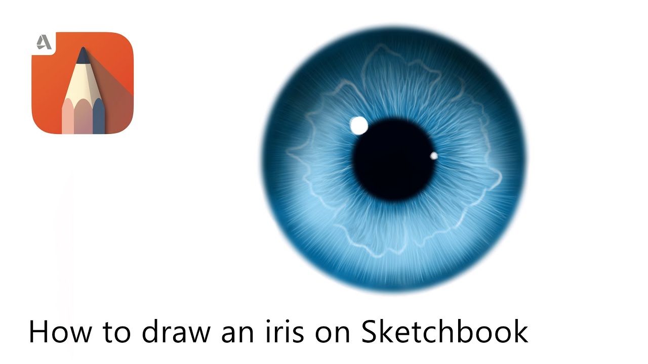 A really easy way to draw an iris by using autodesk sketchbook.