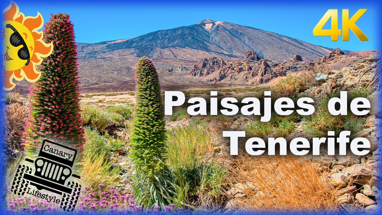 Explorando los paisajes de Tenerife en 4K.(NO TE LO PIERDAS)