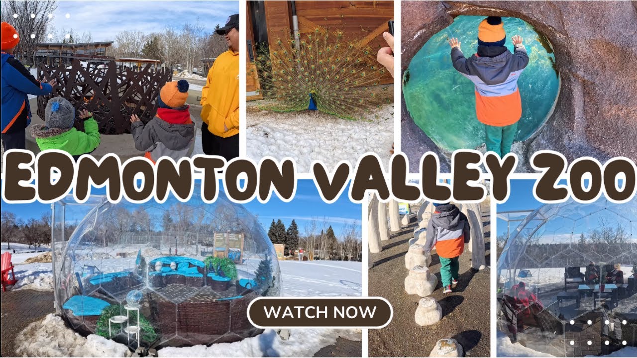 Edmonton Valley Zoo Full Review| Things To Do In Edmonton| Tour & Excursion