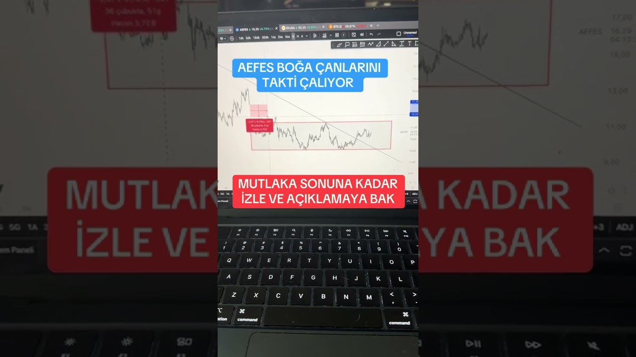 AEFES HİSSESİNİN ANALİZİ