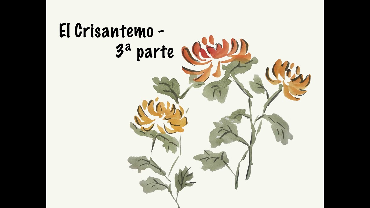 Sumi-e - El crisantemo - 3ª parte