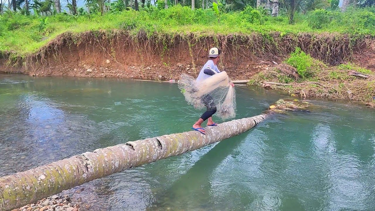 JALA IKAN DI SUNGAI KECIL DAN JERNIH, HASILNYA BIKIN KAGET.!!! Amazing fishing nets