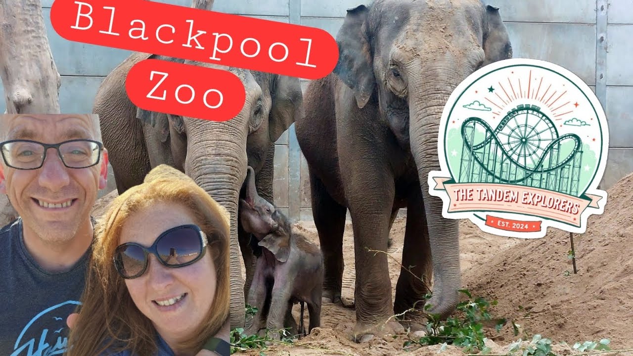 Come along with us to Blackpool Zoo!! #fypシ #funny #blackpoolattractions #happy 