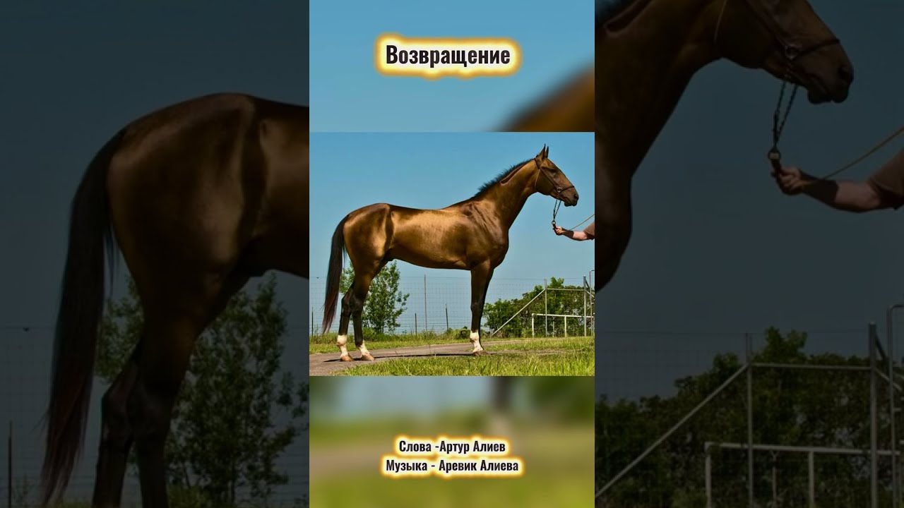 Песня «Возвращение»