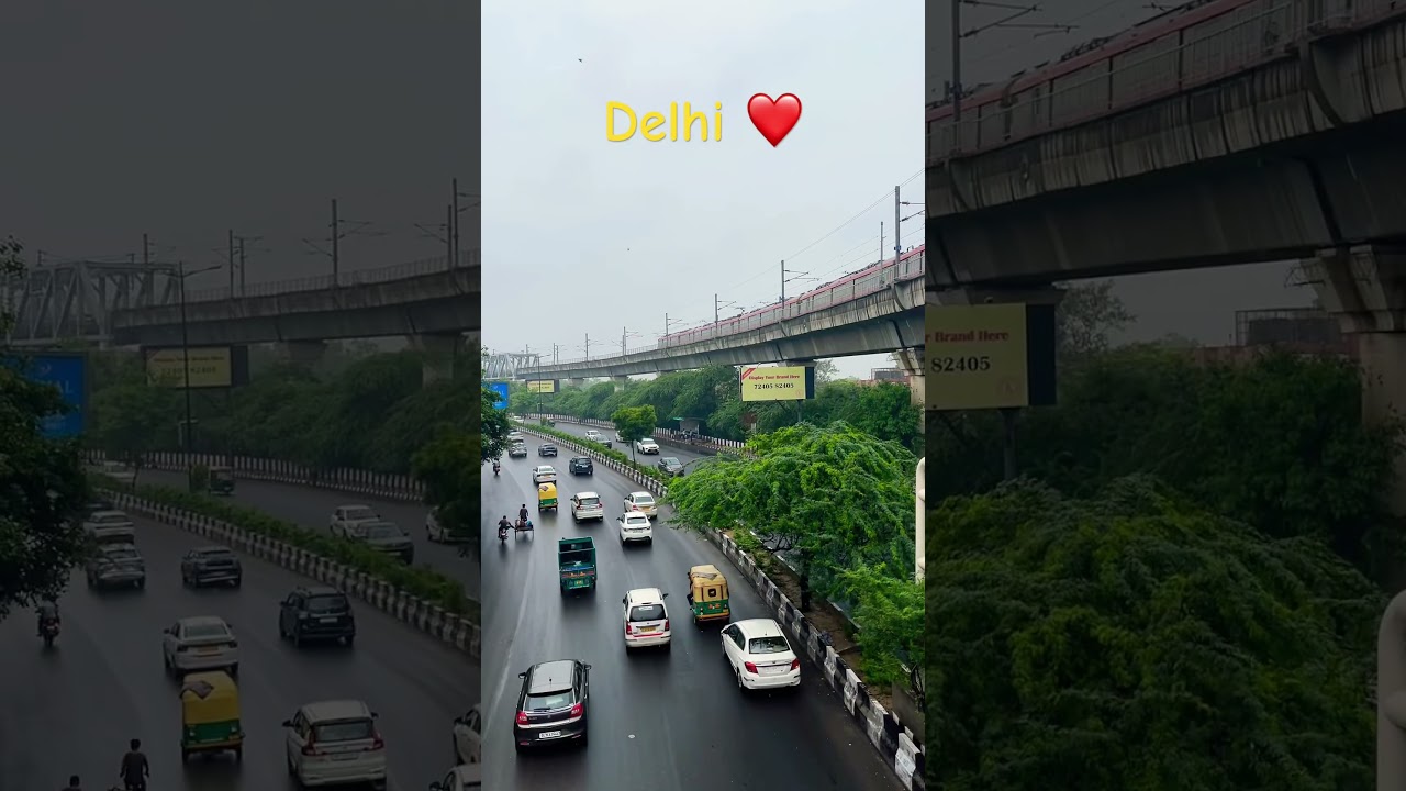 Delhi ka Humsafar ❤️ Delhi Metro 