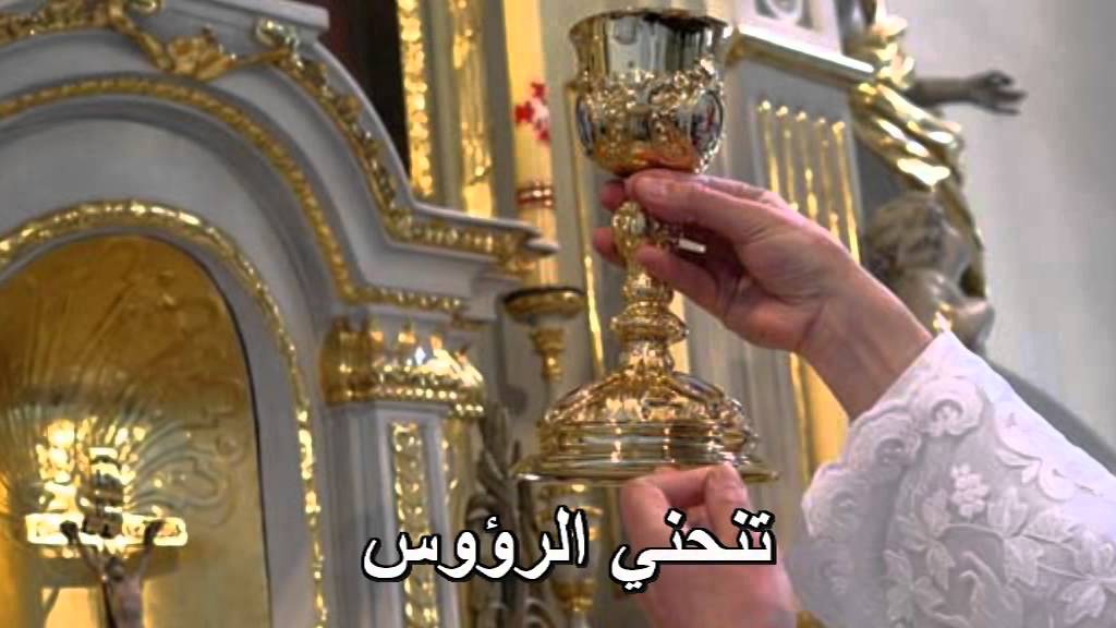 امام كاسك