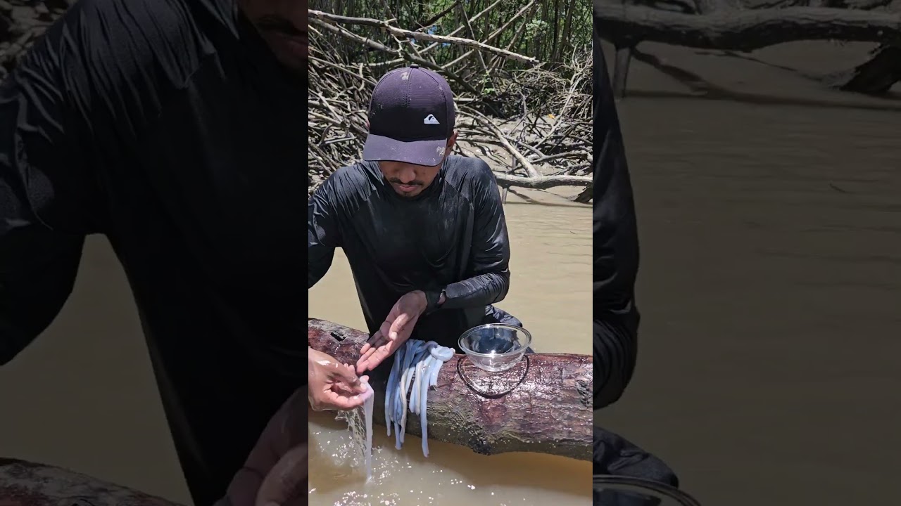 Rolou um cozido de turu na croa