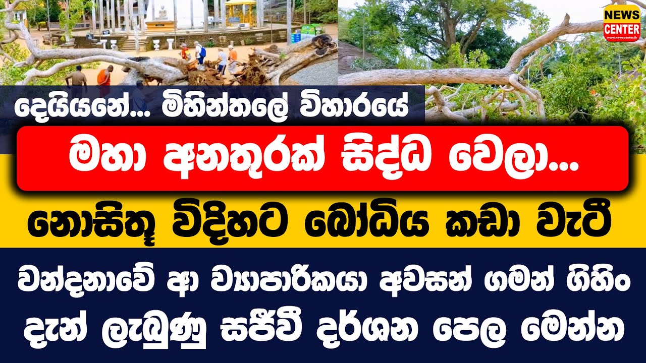 දෙයියනේ... මිහින්තලේ විහාරයේ මහා අනතුරක් සිද්ධ වෙලා | බෝධිය කඩා වැටී වන්දනාවේ ආ ව්‍යාපාරිකයා මරුට