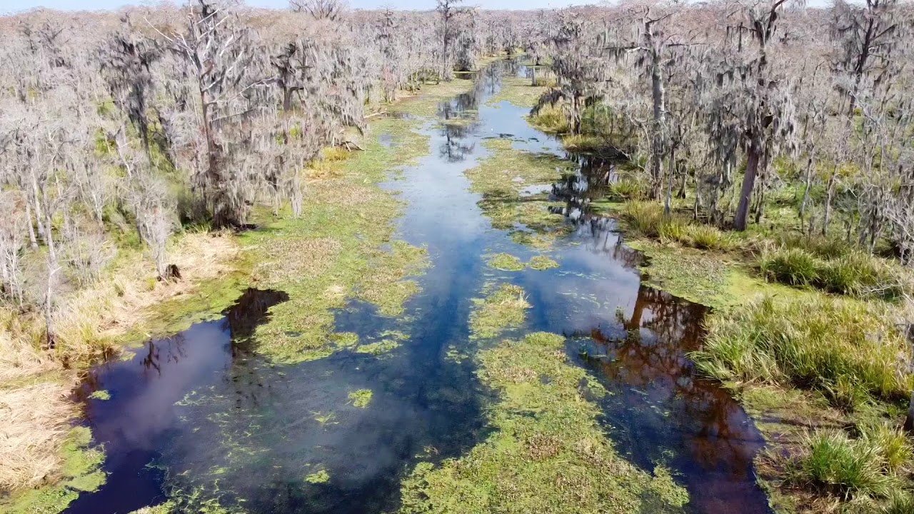 Manchac, Louisiana - DJI Mavic Mini