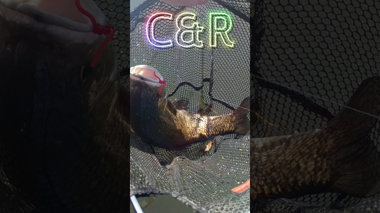 Squirmy worms secondo big!#flyfishing #pescaamosca #pesca #fishing