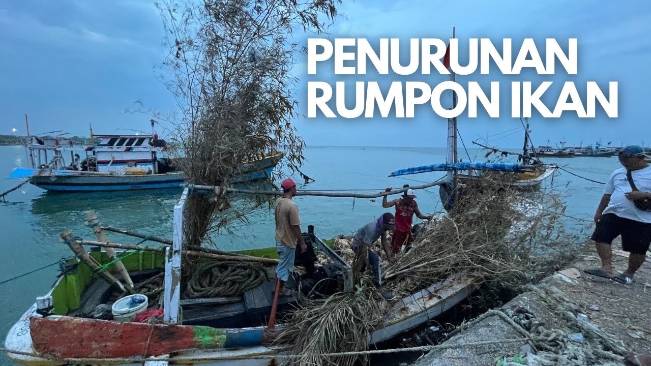 PROSES PENURUNAN RUMPON IKAN