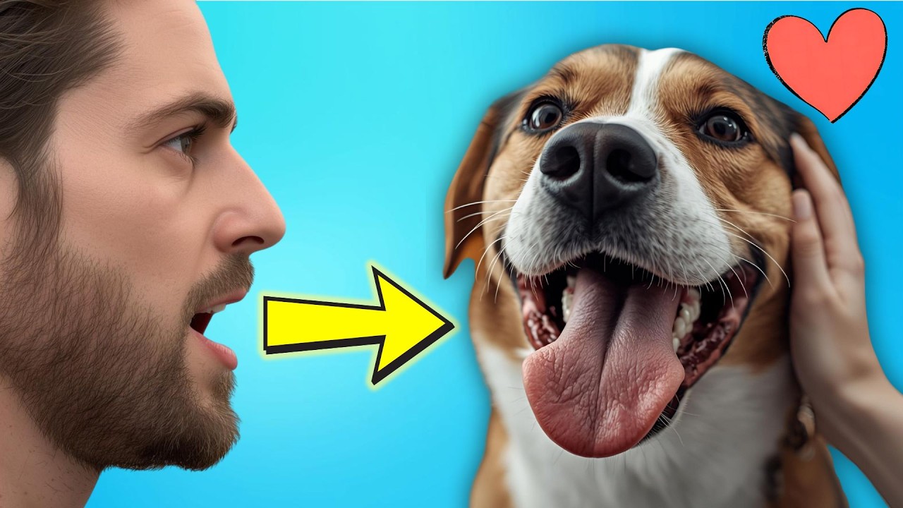 Sag diese 7 Wörter zu deinem Hund und STAUNE, was passiert 😮