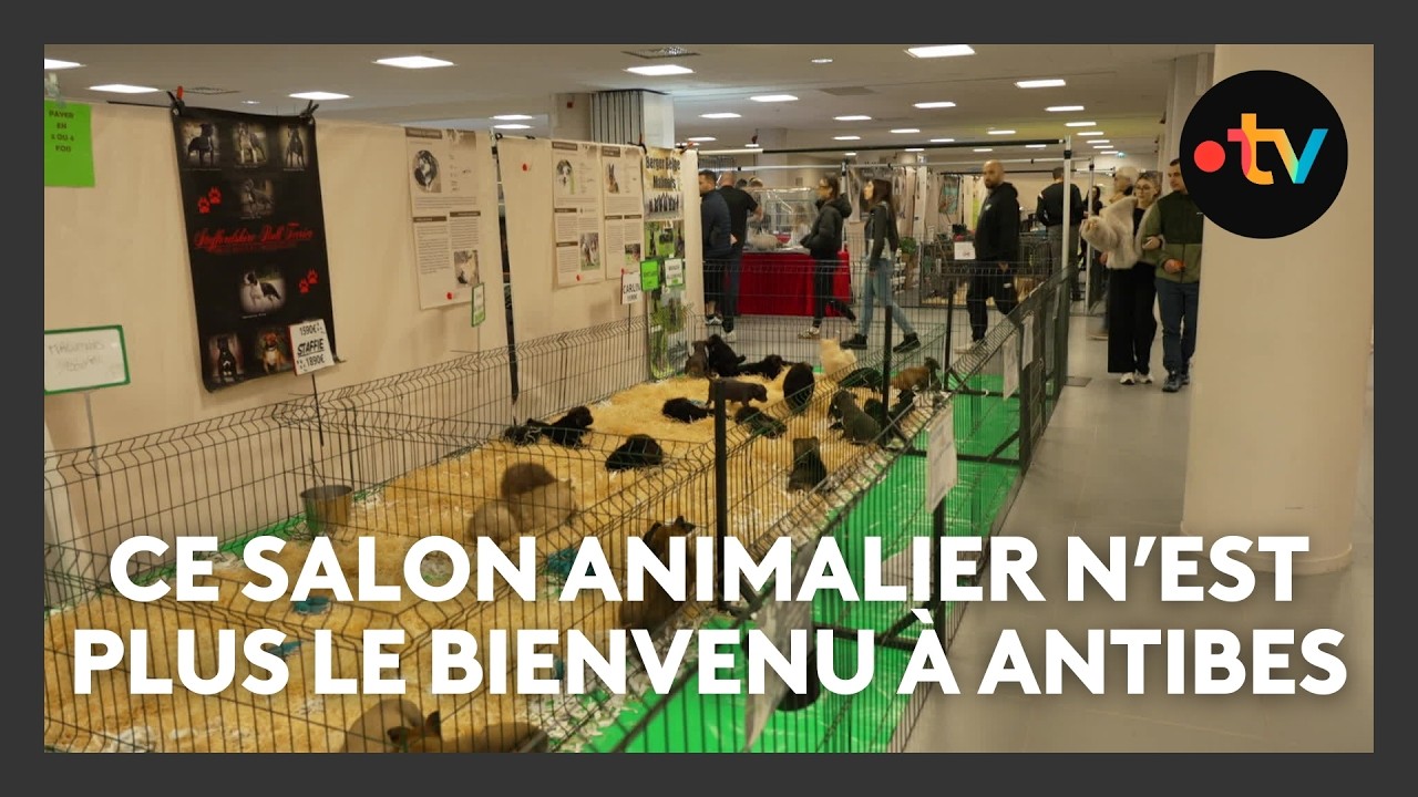 Le salon 