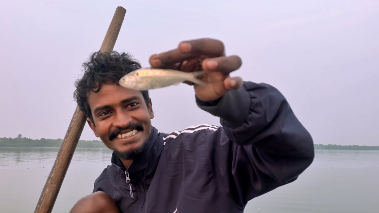 মাছের রাজা ইলিশ পেলাম আমাদের জালে sundarban net fishing!!!