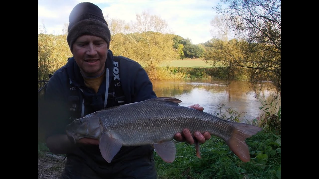 Autumn Barbel, Middle Severn