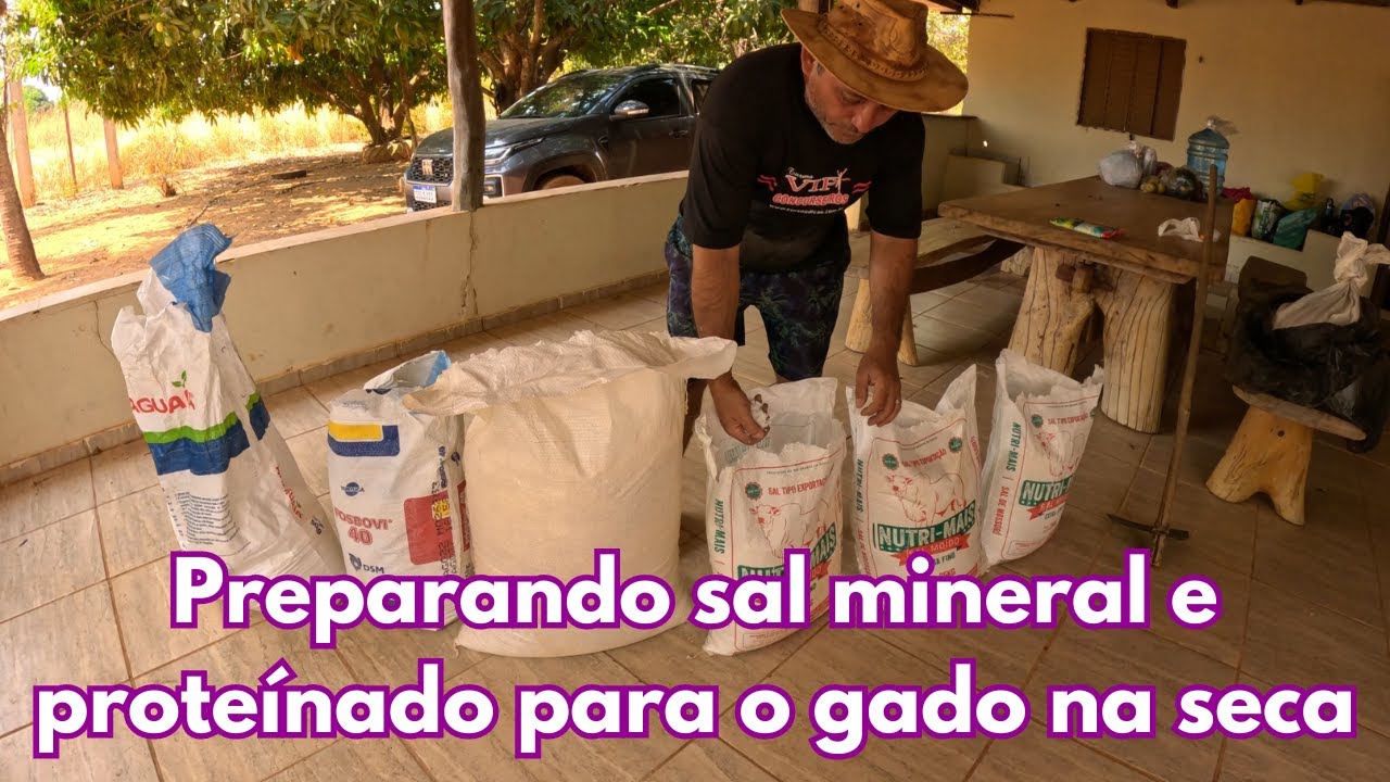 Preparando sal mineral e proteínado para o gado na seca