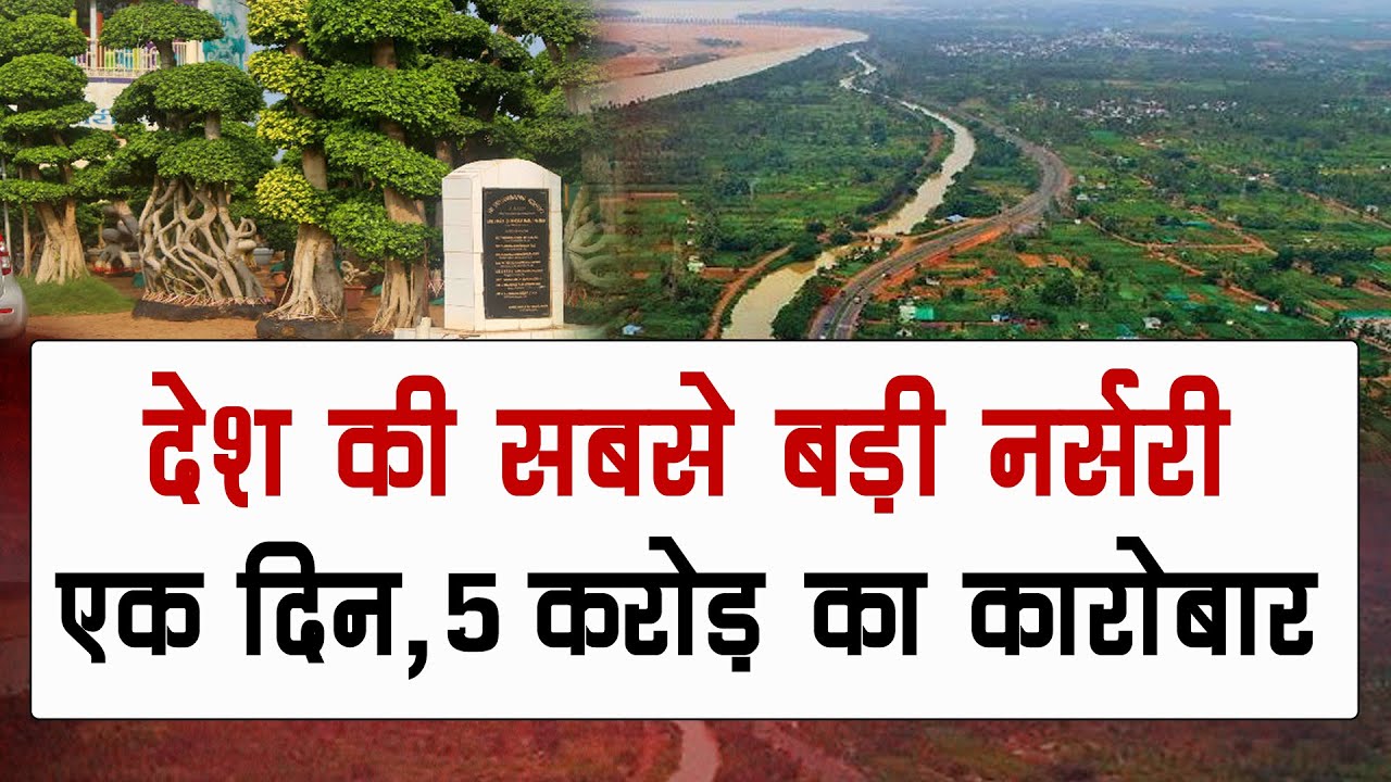 10 हजार एकड़ में फैला ये सबसे बड़ा नर्सरी बाजार, यहां मिलता है 10 लाख तक का पौधा