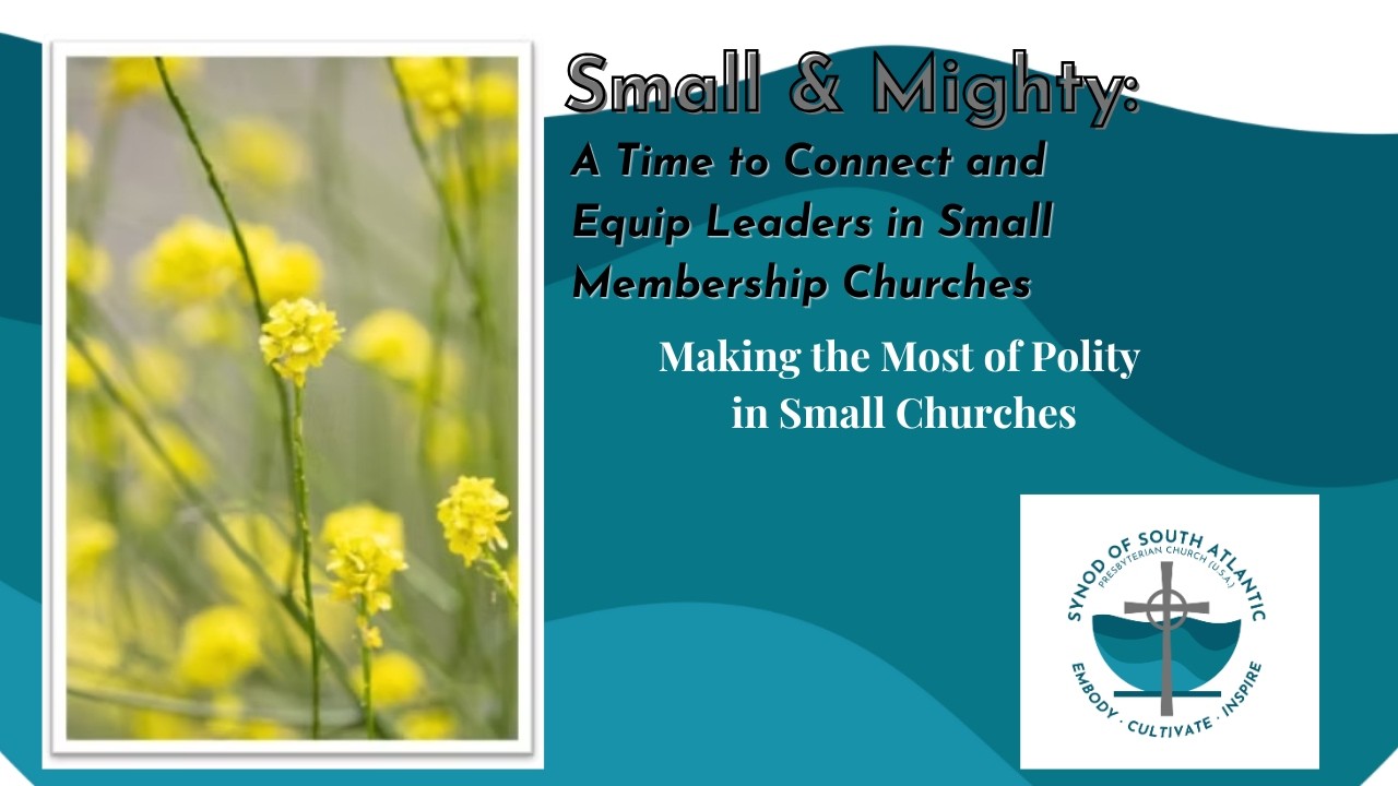 Making the Most of Polity in Small Churches