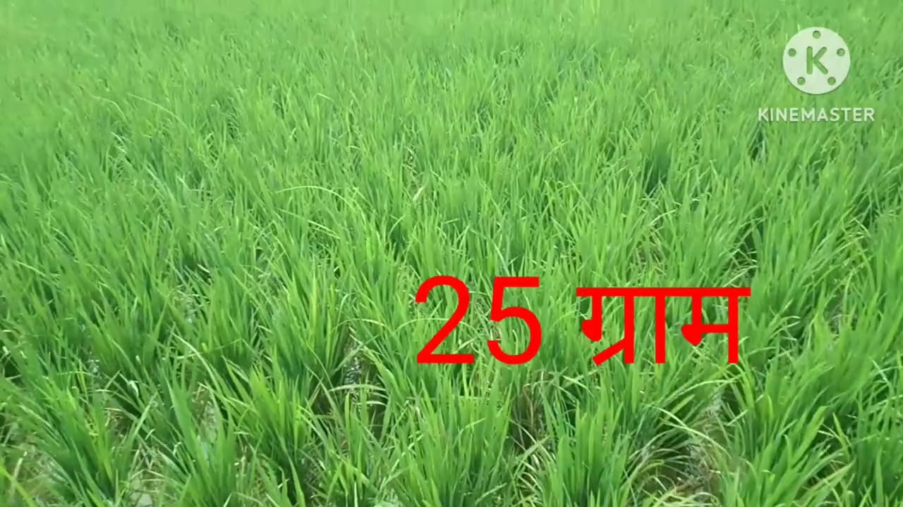 एक दवा खेत से कई खरपतवार सफा।