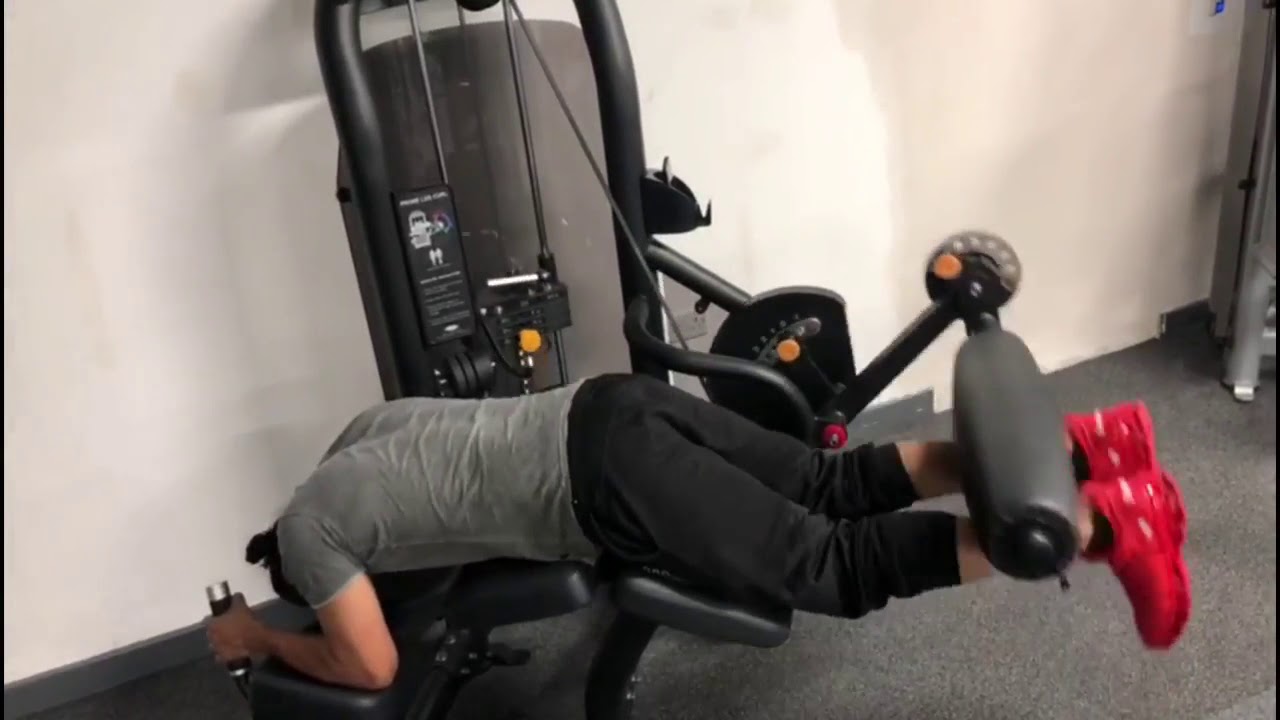 Legs and Abs Workout for Beginners Full HD