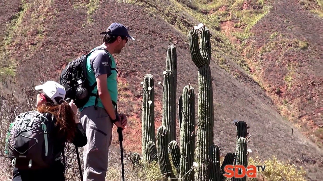 Trekking al Torre&oacute;n de la Cuesta, Salta