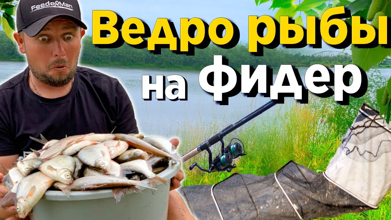 Рыбалка на ФИДЕР! Улов 20 кг за сутки! Рыбалка с ночевкой ! Маринованные кабачки.