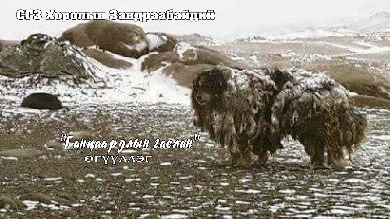 СГЗ Хоролын Зандраабайдий 