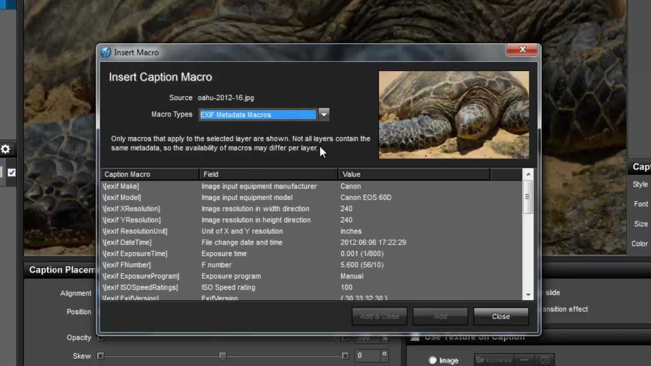 How to Use Text Macros in ProShow