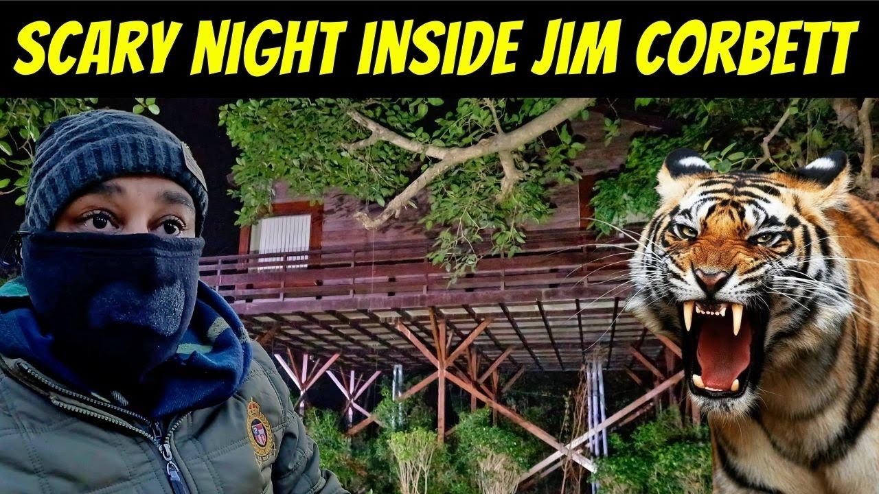 TIGER RAAT BHAR HUMARE FRH PAR HI THA | A NIGHT IN JIM CORBETT NEW DHIKALA | JIM CORBETT PHATO ZONE