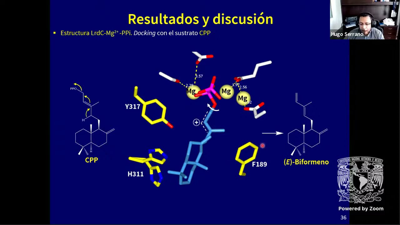 Ciclodextrinas funcionales y terpenoides: desde el microbioma hasta la Ingeniería de Proteínas