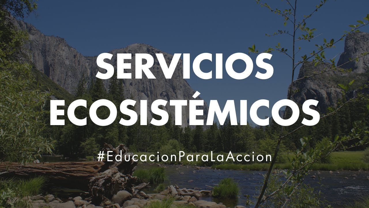Servicios Ecosistémicos | Educación Ambiental Digital