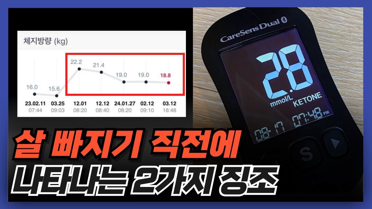 혈당과 케톤으로 살 빠지는 중인지 확인하는 방법 | 케토시스, 케톤의 역설