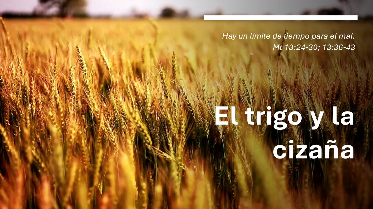 🟢Devocional │🙇‍♀️El trigo y la cizaña🙇‍♂️ #xalapa #TiempodeGracia_  #cristovive