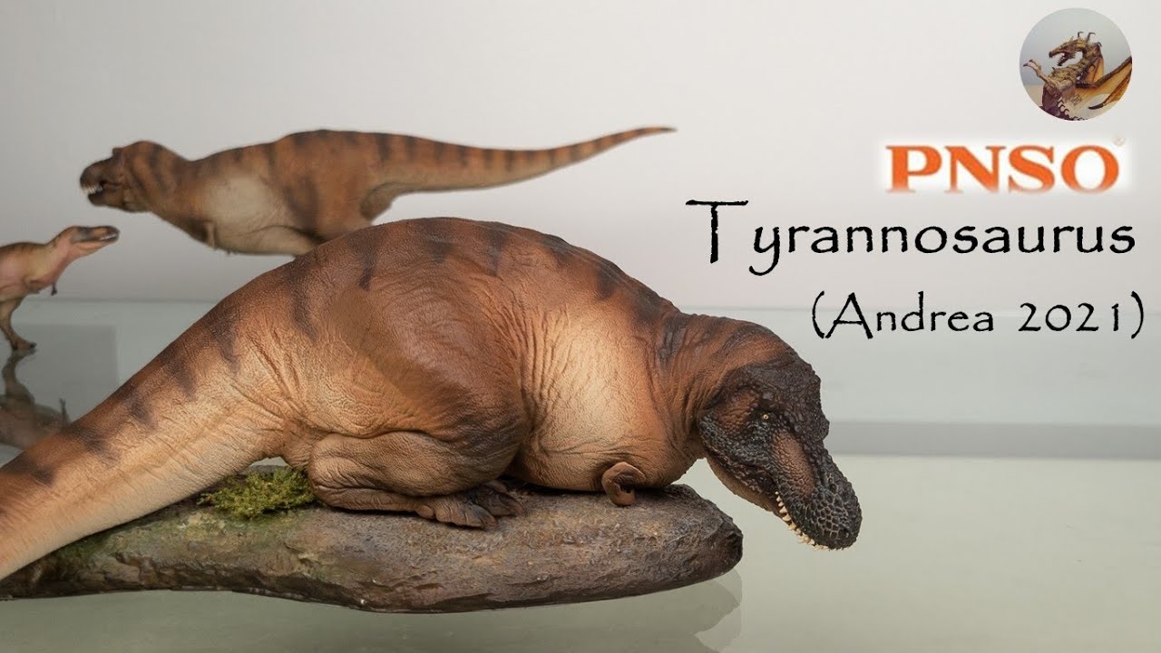 143: PNSO Tyrannosaurus (Andrea 2021) Review