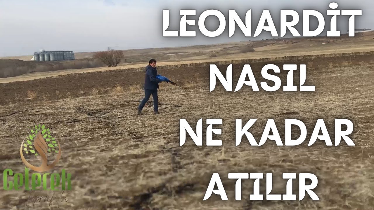 16 DÖNÜM TAMAMEN ORGANİK ÇİLEK TARLAMIZA LEONARDİT ATIYORUZ - 2. BÖLÜM #leonardit #gübre #doğal