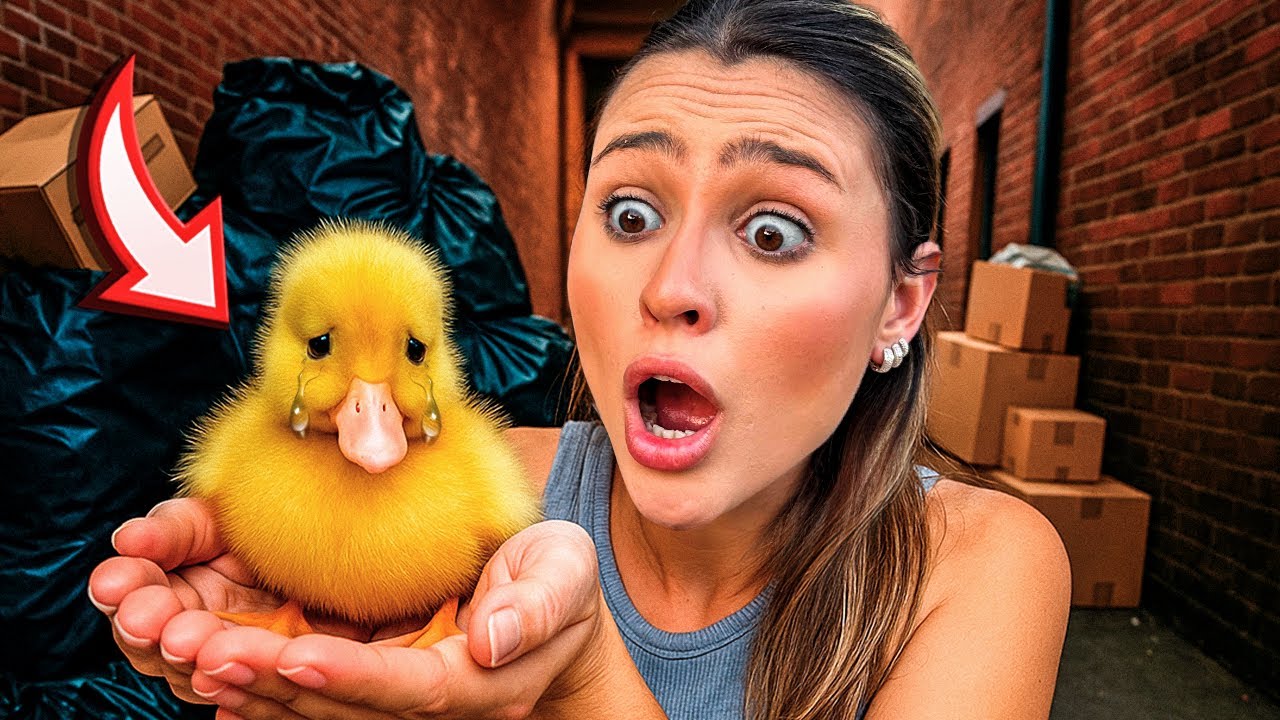 ENCONTRAMOS UM PATINHO ABANDONADO NO MEIO DO LIXO! *COITADINHO*