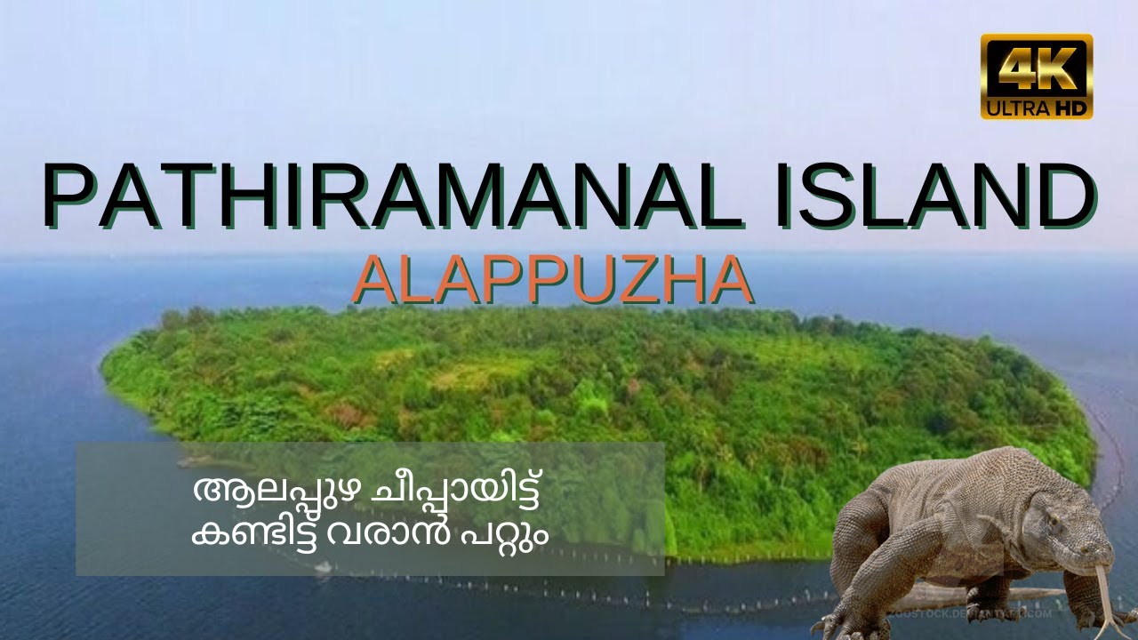 pathiramanal | Alappuzha | ആലപ്പുഴ ചീപ്പായിട്ട് കണ്ടിട്ട് വരാൻ പറ്റും | Ernakulam | island | 4k