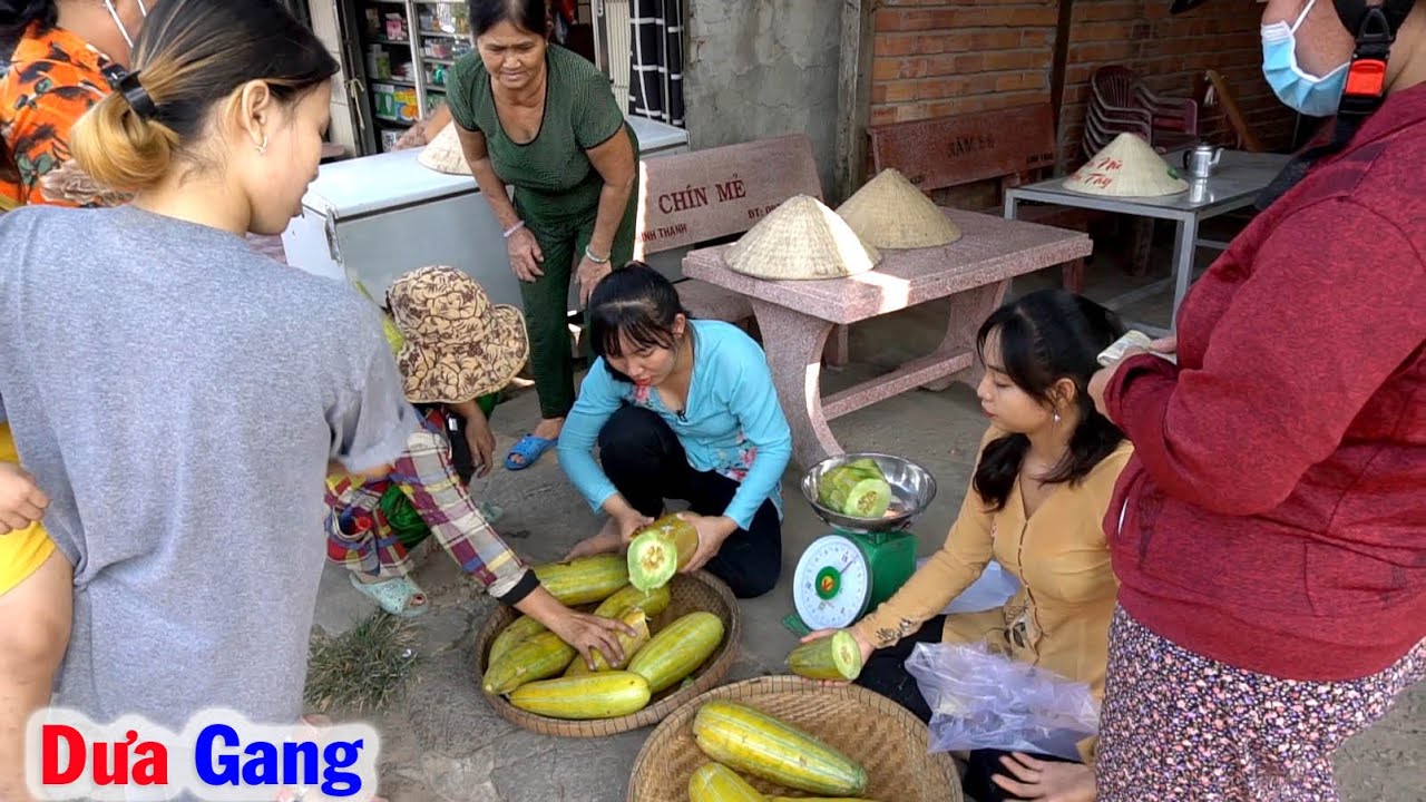Thu Hoạch Dưa Gang đem Ra Đường Quê Bán, Phát Hiện Bầy Ngỗng Con Đã Nở #65