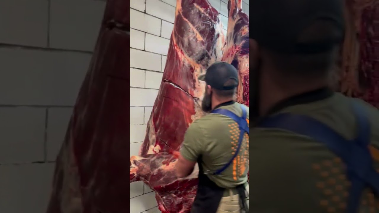 Breaking down a whole Bison. 🔪 