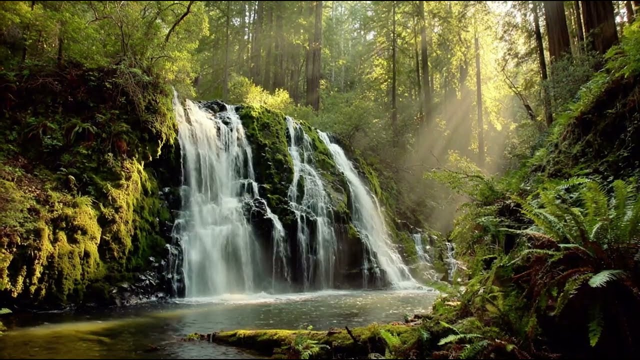 Forest Waterfall Flow 🌿 Nature Sounds for Studying, Focus & Relaxation