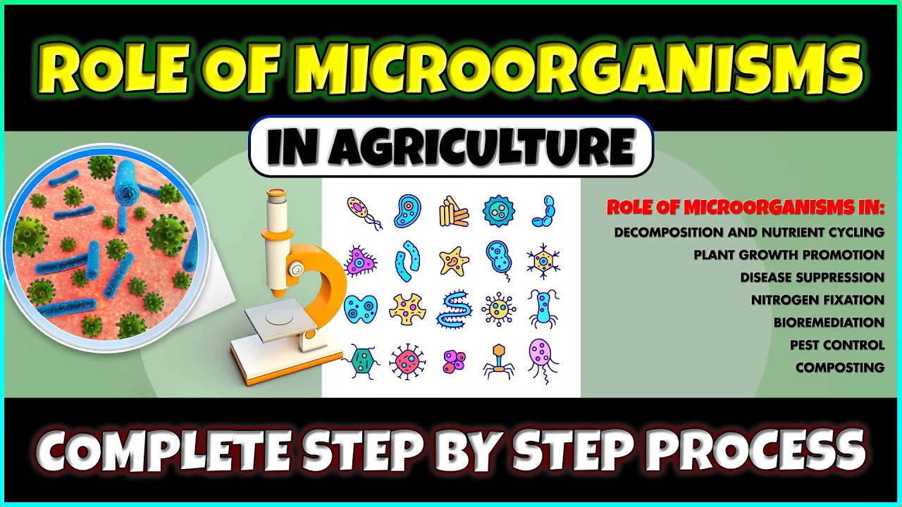 Importance of Microorganisms in Agriculture | Nitrogen Fixation, Pest Control, Plant Growth