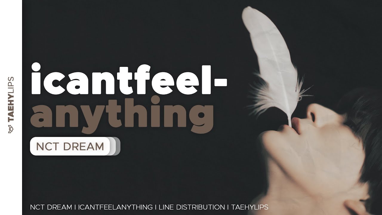 NCT DREAM (엔시티 드림) » icantfeelanything • Line Distribution
