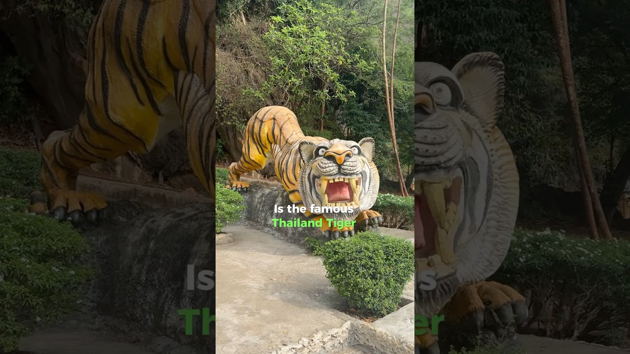 DO NOT hike Tiger Cave Temple until you watch this