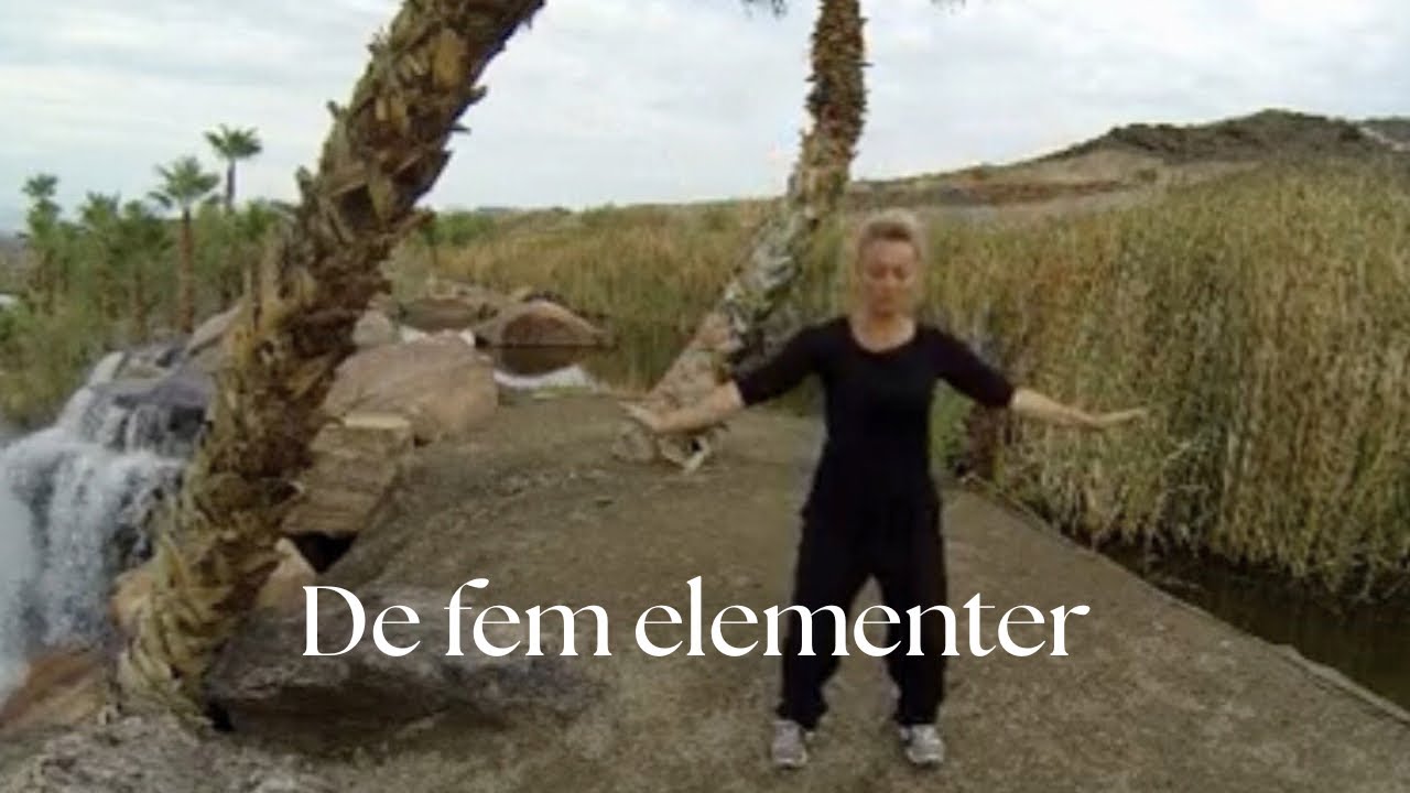 Five elements qigong. #qigong #fiveelements #air #water #wood #fire #earth