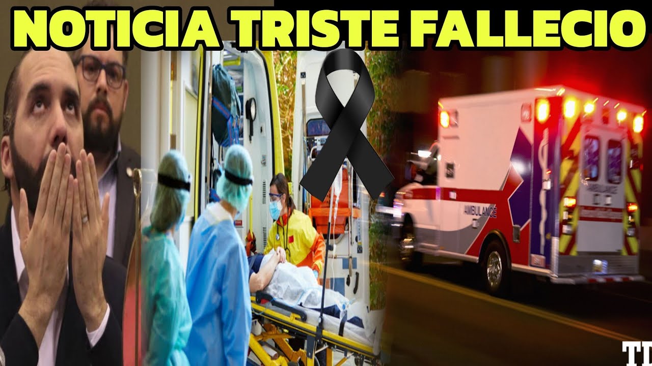 EN VIVO URGENTE PASO AHORITA NAYIB BUKELE REACCIONA ANTE ESTO