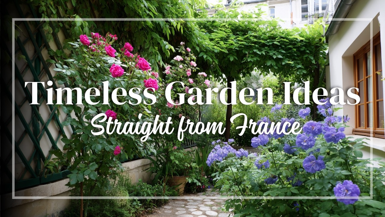 Tiny French Garden Paradise 🌷 | Small Courtyards & Yards with European Sophistication