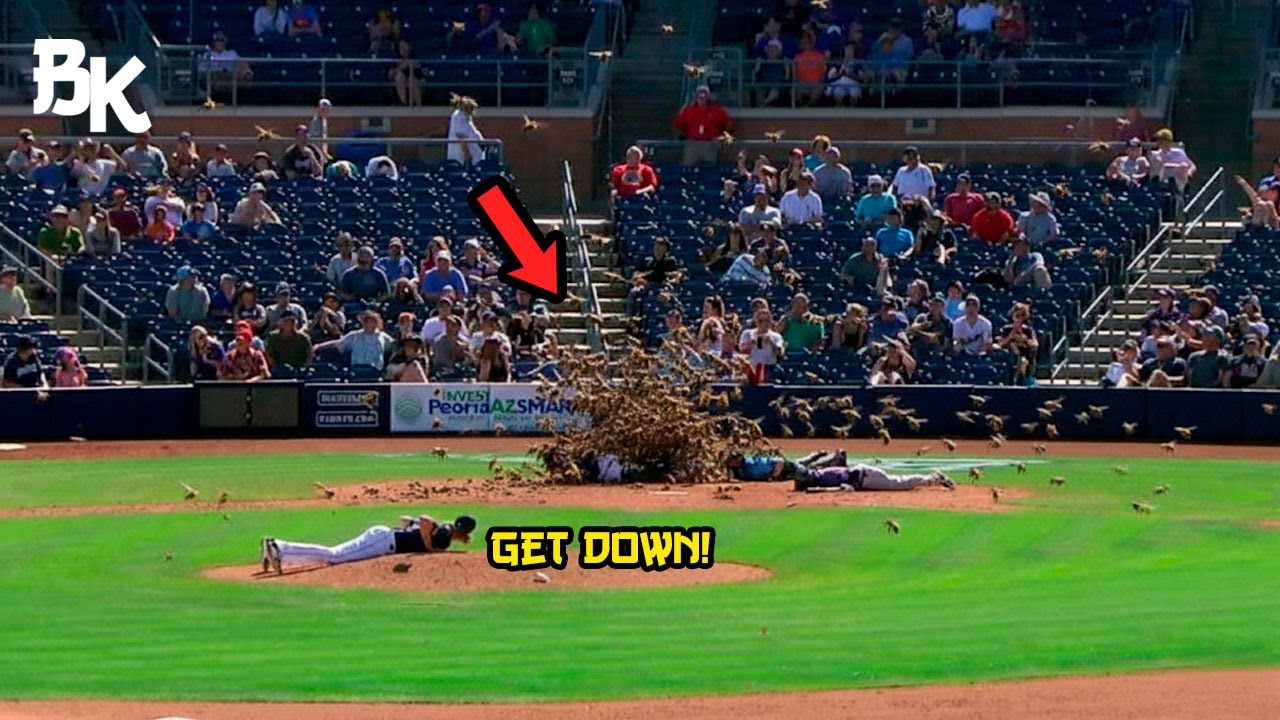 MLB - Crazy Animal Attacks on the Field