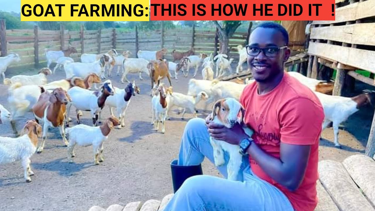 How He Started With A Few GOATS And Now A Successful FARMER !