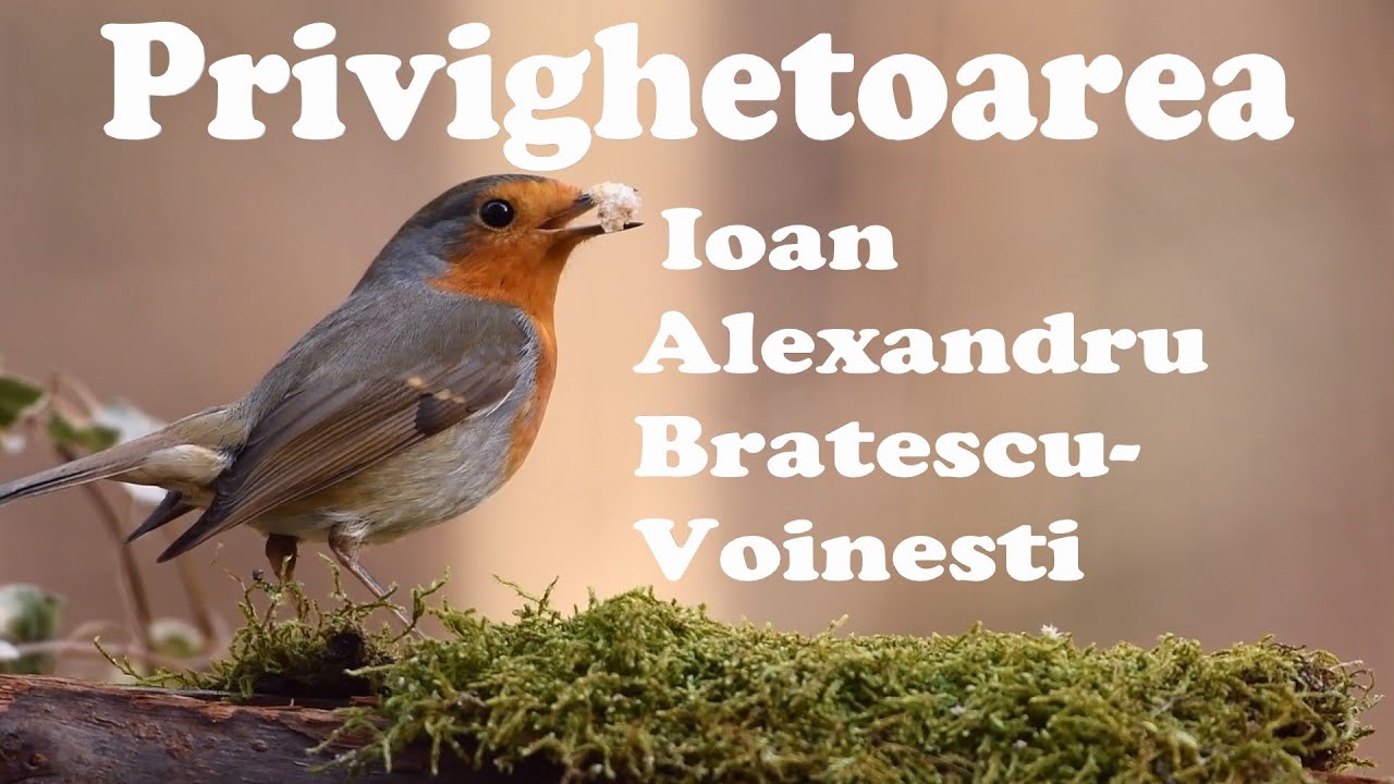 Privighetoarea -Ioan Alexandru Bratescu-Voinesti