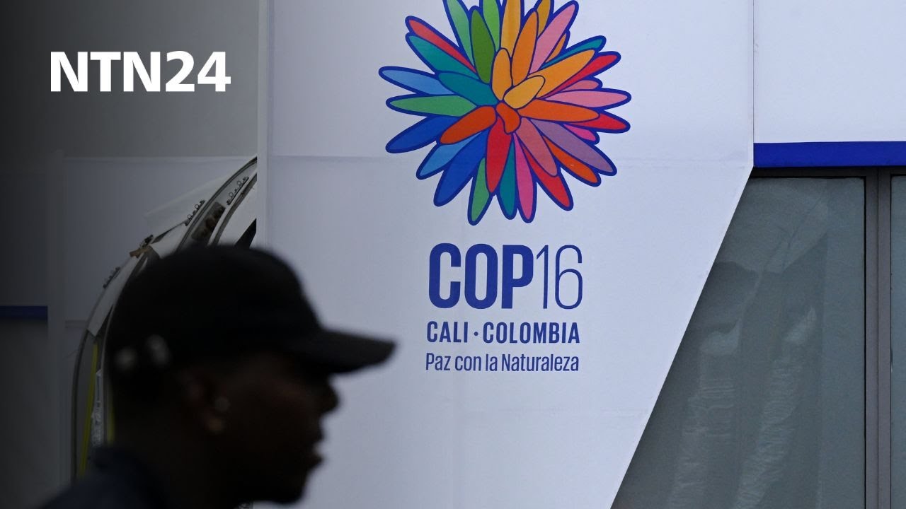 Así se prepara Cali en materia de seguridad aérea para el desarrollo de la COP16